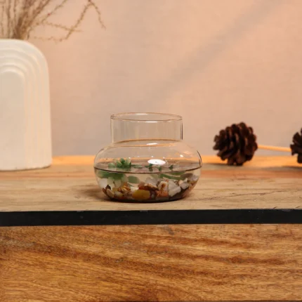 Crystal Clear Glass Fish Bowl or Terrarium (CANDY JAR)