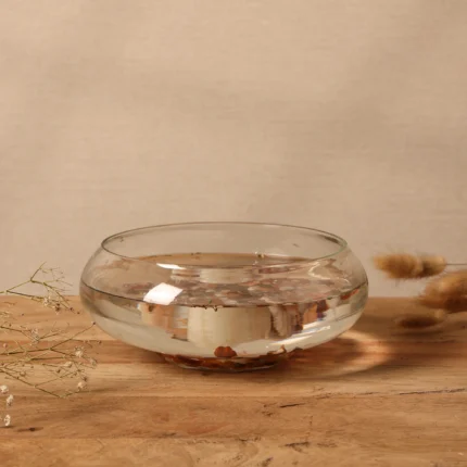 Crystal Clear Glass Fish Bowl or Terrarium (bela)